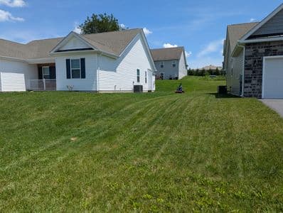 Precision lawn mowing with perfect straight lines by Lawn Legend